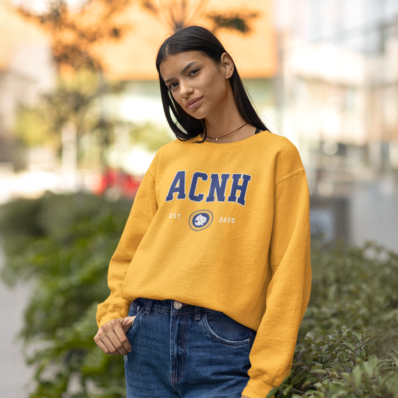 Animal Crossing College Style Sweatshirt