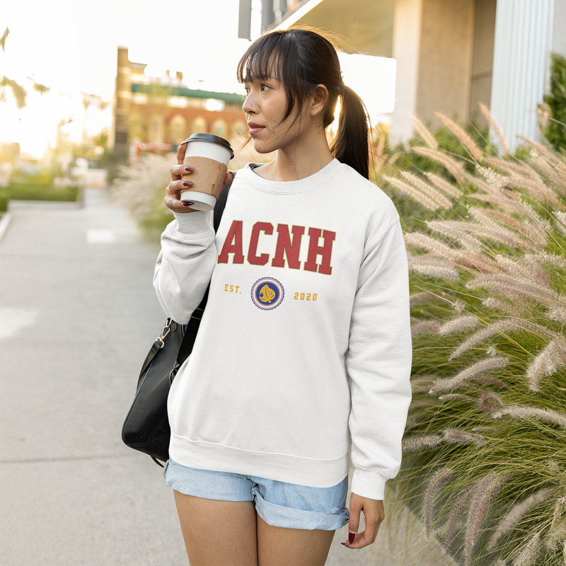 Animal Crossing College Style Sweatshirt