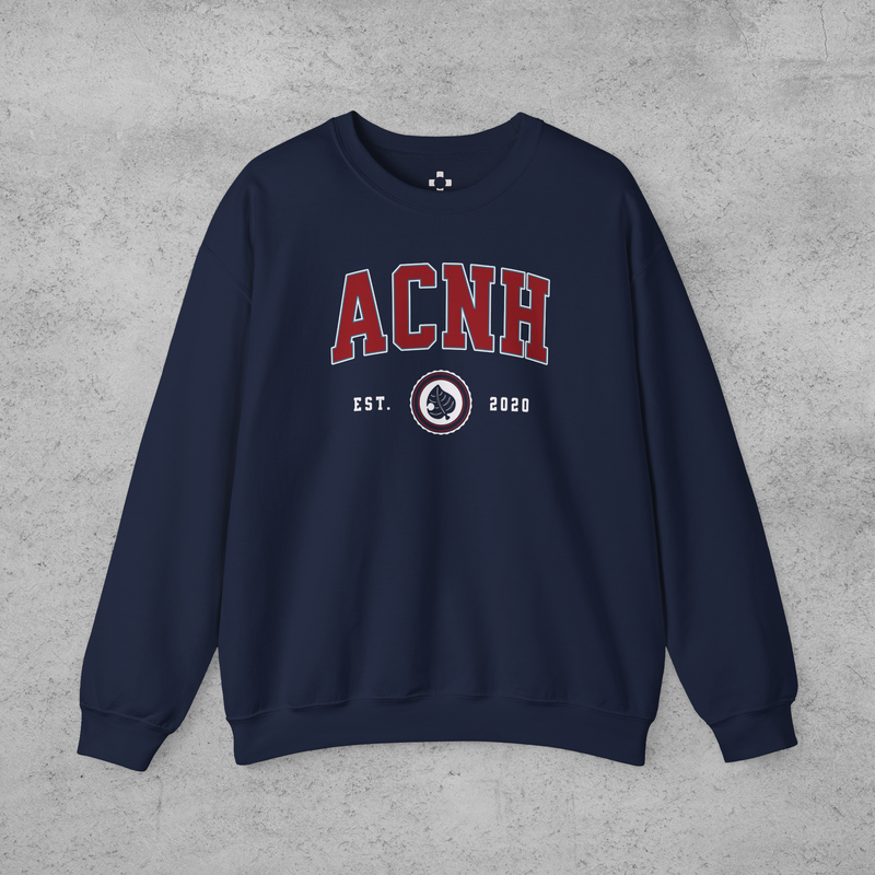 Animal Crossing College Style Sweatshirt